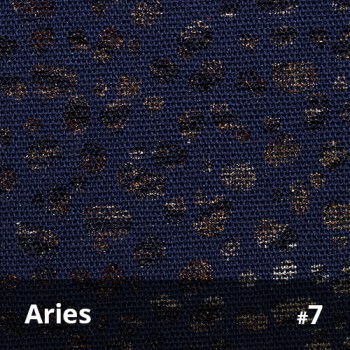 Aries 7